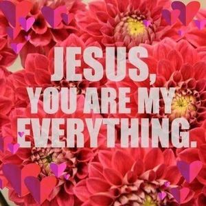 Meet your Posher, Shelley